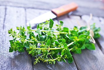 Image showing marjoram sprig