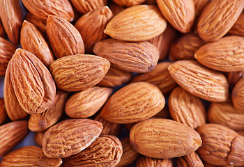 Image showing almond without shell