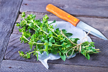 Image showing marjoram sprig