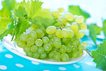 Image showing Grape