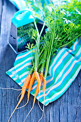 Image showing fresh carrot