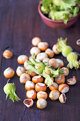 Image showing hazelnuts