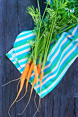 Image showing fresh carrot