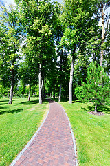 Image showing summer park 