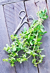 Image showing marjoram sprig