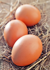 Image showing raw chicken eggs