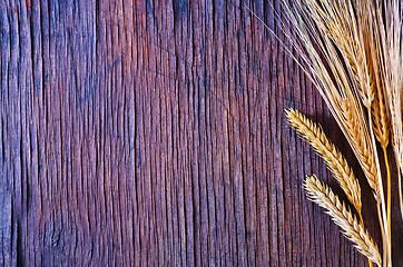 Image showing wheat