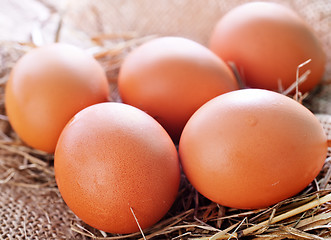 Image showing raw chicken eggs