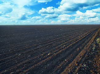 Image showing ploughed field with sky