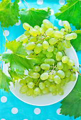 Image showing Grape