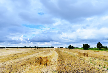 Image showing field