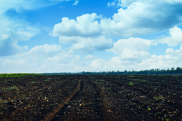 Image showing ploughed field with sky