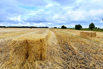 Image showing field