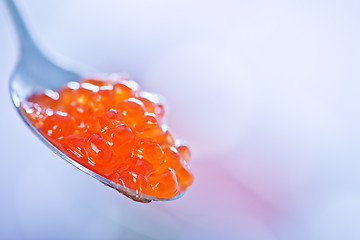 Image showing red salmon caviar 