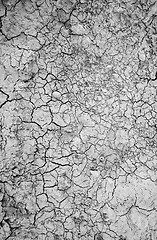 Image showing Surface of a grungy dry cracking parched earth