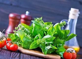 Image showing fresh basil