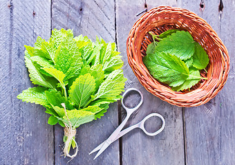 Image showing fresh mint leaf 