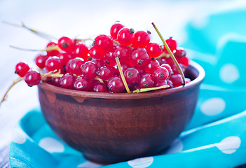 Image showing red currant