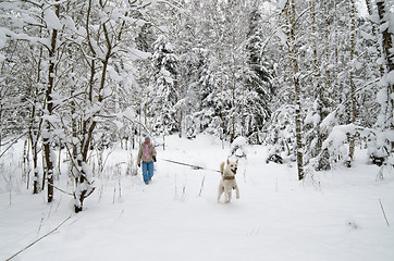 Image showing The woman with a dog on walk in a winter wood