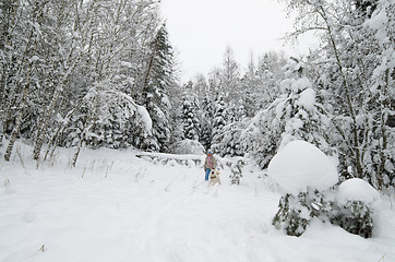 Image showing The woman with a dog on walk in a winter wood