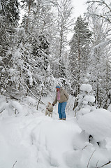 Image showing The woman with a dog on walk in a winter wood