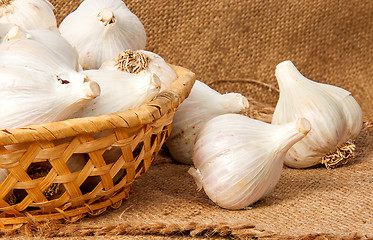 Image showing Whole head of garlic in a wicker basket