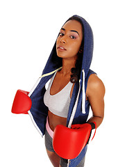 Image showing Athletic woman in hoody wearing boxing gloves.