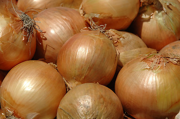 Image showing Onion background