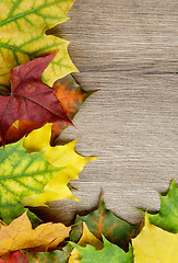 Image showing Frame of Autumn Leafs