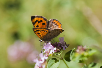 Image showing copper