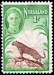 Image showing Leopard Stamp