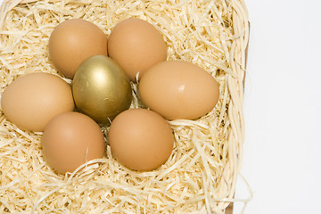 Image showing Eggs in one basket