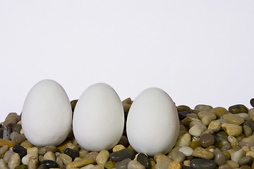 Image showing Three White Eggs