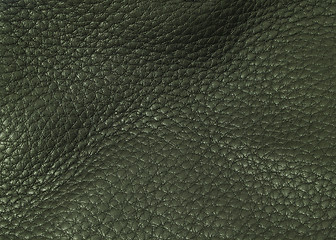 Image showing Black leather