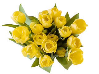 Image showing Yellow tulips