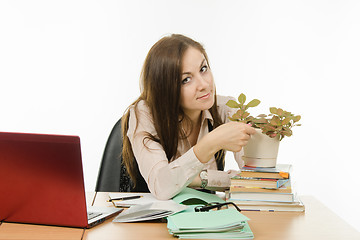 Image showing The teacher loves her flower