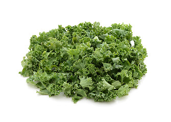 Image showing Chopped kale