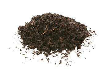 Image showing Compost, soil or dirt