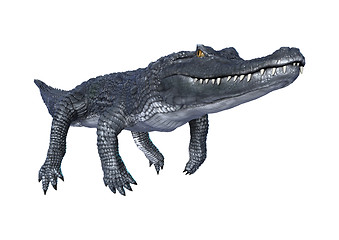 Image showing Caiman