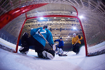 Image showing ice hockey goalkeeper