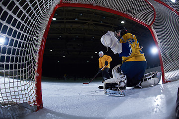 Image showing ice hockey goalkeeper