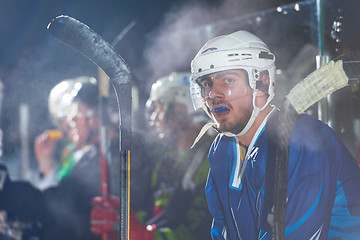 Image showing ice hockey players on bench