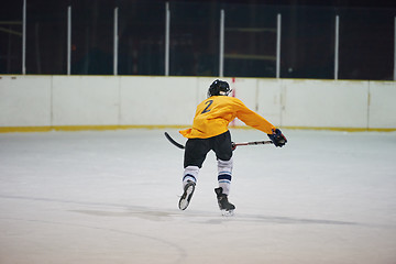 Image showing ice hockey player in action