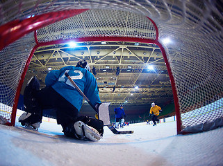 Image showing ice hockey goalkeeper