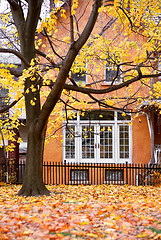 Image showing House autumn