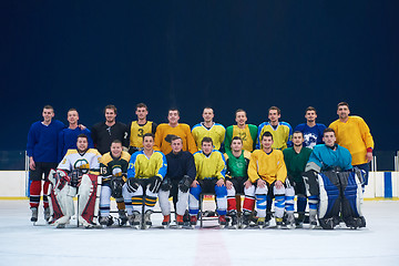 Image showing ice hockey players team portrait