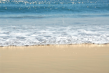 Image showing Ocean shore