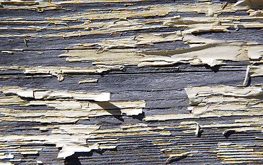 Image showing Old wood background