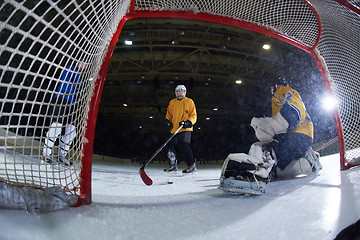 Image showing ice hockey goalkeeper