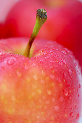 Image showing Red apples macro